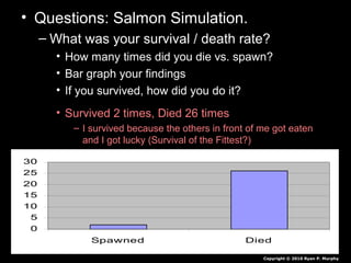 • Questions: Salmon Simulation.
– What was your survival / death rate?
• How many times did you die vs. spawn?
• Bar graph your findings
• If you survived, how did you do it?
• Survived 2 times, Died 26 times
– I survived because the others in front of me got eaten
and I got lucky (Survival of the Fittest?)
Copyright © 2010 Ryan P. Murphy
0
5
10
15
20
25
30
Spawned Died
 