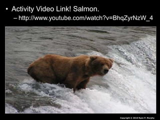 • Activity Video Link! Salmon.
– http://www.youtube.com/watch?v=BhqZyrNzW_4
Copyright © 2010 Ryan P. Murphy
 