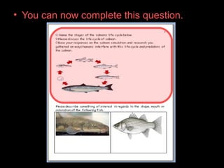 • You can now complete this question.
 