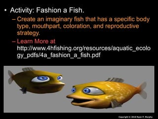 • Activity: Fashion a Fish.
– Create an imaginary fish that has a specific body
type, mouthpart, coloration, and reproductive
strategy.
– Learn More at
http://www.4hfishing.org/resources/aquatic_ecolo
gy_pdfs/4a_fashion_a_fish.pdf
Copyright © 2010 Ryan P. Murphy
 