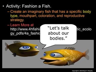 • Activity: Fashion a Fish.
– Create an imaginary fish that has a specific body
type, mouthpart, coloration, and reproductive
strategy.
– Learn More at
http://www.4hfishing.org/resources/aquatic_ecolo
gy_pdfs/4a_fashion_a_fish.pdf
Copyright © 2010 Ryan P. Murphy
“Let’s talk
about our
bodies.”
 