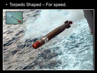 • Torpedo Shaped – For speed.
 