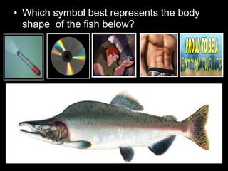 • Which symbol best represents the body
shape of the fish below?
 