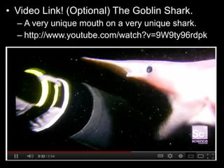 • Video Link! (Optional) The Goblin Shark.
– A very unique mouth on a very unique shark.
– http://www.youtube.com/watch?v=9W9ty96rdpk
 