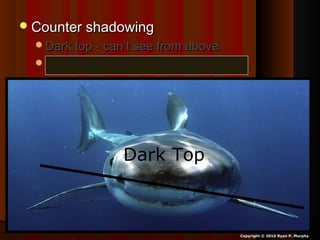 Counter shadowingCounter shadowing
Dark top - can’t see from aboveDark top - can’t see from above
Light bottom – can’t see from below.Light bottom – can’t see from below.
Dark Top
Copyright © 2010 Ryan P. Murphy
 