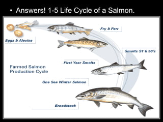 • Answers! 1-5 Life Cycle of a Salmon.
 