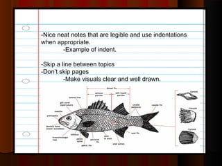 -Nice neat notes that are legible and use indentations
when appropriate.
-Example of indent.
-Skip a line between topics
-Don’t skip pages
-Make visuals clear and well drawn.
 