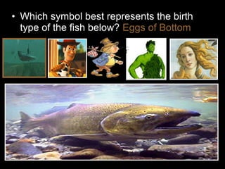 • Which symbol best represents the birth
type of the fish below? Eggs of Bottom
 
