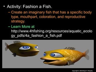 • Activity: Fashion a Fish.
– Create an imaginary fish that has a specific body
type, mouthpart, coloration, and reproductive
strategy.
– Learn More at
http://www.4hfishing.org/resources/aquatic_ecolo
gy_pdfs/4a_fashion_a_fish.pdf
Copyright © 2010 Ryan P. Murphy
 