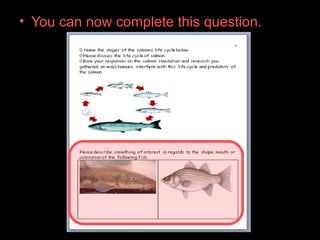 • You can now complete this question.
 
