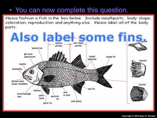 • You can now complete this question.
Copyright © 2010 Ryan P. Murphy
 