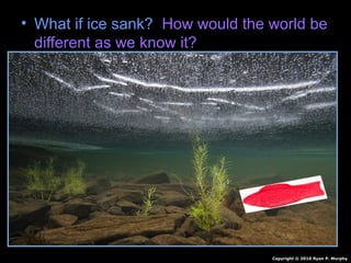 • What if ice sank? How would the world be
different as we know it?
Copyright © 2010 Ryan P. Murphy
 