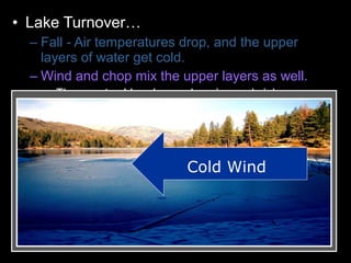 • Lake Turnover…
– Fall - Air temperatures drop, and the upper
layers of water get cold.
– Wind and chop mix the upper layers as well.
• These get colder, denser, heavier, and sink.
– Colder water displaces the water the lake
bottom forcing the lower layers to the surface.
– Winter - Ice forms layer over water. Lake
becomes layered
– Spring – Melting ice causes water to sink and
mixes layers
– Summer – Warm temperatures cause layering .
Cold Wind
 