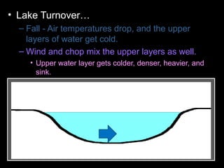 • Lake Turnover…
– Fall - Air temperatures drop, and the upper
layers of water get cold.
– Wind and chop mix the upper layers as well.
• Upper water layer gets colder, denser, heavier, and
sink.
– Colder water displaces the water the lake
bottom forcing the lower layers to the surface.
– Winter - Ice forms layer over water. Lake
becomes layered
– Spring – Melting ice causes water to sink and
mixes layers
– Summer – Warm temperatures cause layering .
 