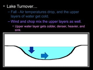 • Lake Turnover…
– Fall - Air temperatures drop, and the upper
layers of water get cold.
– Wind and chop mix the upper layers as well.
• Upper water layer gets colder, denser, heavier, and
sink.
– Colder water displaces the water the lake
bottom forcing the lower layers to the surface.
– Winter - Ice forms layer over water. Lake
becomes layered
– Spring – Melting ice causes water to sink and
mixes layers
– Summer – Warm temperatures cause layering .
 