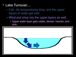 • Lake Turnover…
– Fall - Air temperatures drop, and the upper
layers of water get cold.
– Wind and chop mix the upper layers as well.
• Upper water layer gets colder, denser, heavier, and
sink.
– Colder water displaces the water the lake
bottom forcing the lower layers to the surface.
– Winter - Ice forms layer over water. Lake
becomes layered
– Spring – Melting ice causes water to sink and
mixes layers
– Summer – Warm temperatures cause layering .
 