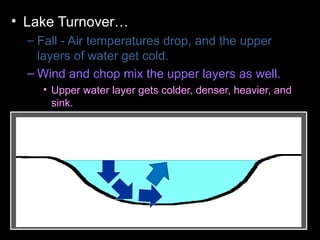 • Lake Turnover…
– Fall - Air temperatures drop, and the upper
layers of water get cold.
– Wind and chop mix the upper layers as well.
• Upper water layer gets colder, denser, heavier, and
sink.
– Colder water displaces the water the lake
bottom forcing the lower layers to the surface.
– Winter - Ice forms layer over water. Lake
becomes layered
– Spring – Melting ice causes water to sink and
mixes layers
– Summer – Warm temperatures cause layering .
 