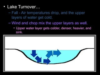 • Lake Turnover…
– Fall - Air temperatures drop, and the upper
layers of water get cold.
– Wind and chop mix the upper layers as well.
• Upper water layer gets colder, denser, heavier, and
sink.
– Colder water displaces the water the lake
bottom forcing the lower layers to the surface.
– Winter - Ice forms layer over water. Lake
becomes layered
– Spring – Melting ice causes water to sink and
mixes layers
– Summer – Warm temperatures cause layering .
 