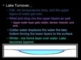 • Lake Turnover…
– Fall - Air temperatures drop, and the upper
layers of water get cold.
– Wind and chop mix the upper layers as well.
• Upper water layer gets colder, denser, heavier, and
sink.
– Colder water displaces the water the lake
bottom forcing the lower layers to the surface.
– Winter - Ice forms layer over water. Lake
becomes layered.
– Spring – Melting ice causes water to sink and
mixes layers
– Summer – Warm temperatures cause layering .
 