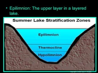• Epilimnion: The upper layer in a layered
lake.
Copyright © 2010 Ryan P. Murphy
 