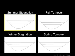 Summer Stagnation Fall Turnover
Winter Stagnation Spring Turnover
Copyright © 2010 Ryan P. Murphy
 