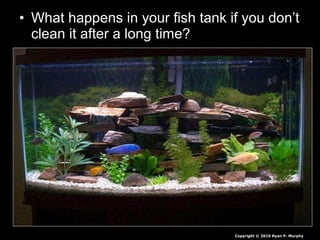 • What happens in your fish tank if you don’t
clean it after a long time?
Copyright © 2010 Ryan P. Murphy
 