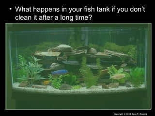 • What happens in your fish tank if you don’t
clean it after a long time?
Copyright © 2010 Ryan P. Murphy
 