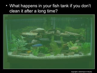 • What happens in your fish tank if you don’t
clean it after a long time?
Copyright © 2010 Ryan P. Murphy
 