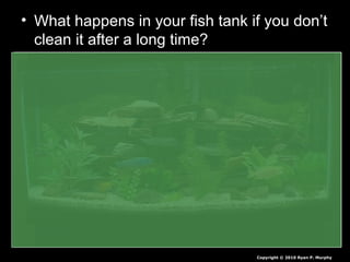 • What happens in your fish tank if you don’t
clean it after a long time?
Copyright © 2010 Ryan P. Murphy
 