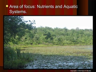 Area of focus: Nutrients and AquaticArea of focus: Nutrients and Aquatic
Systems.Systems.
Copyright © 2010 Ryan P. Murphy
 