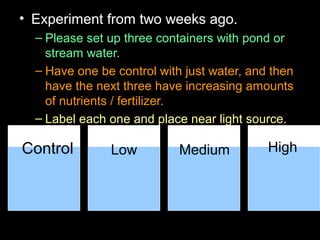• Experiment from two weeks ago.
– Please set up three containers with pond or
stream water.
– Have one be control with just water, and then
have the next three have increasing amounts
of nutrients / fertilizer.
– Label each one and place near light source.
Control Low Medium High
 