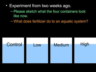 • Experiment from two weeks ago.
– Please sketch what the four containers look
like now.
– What does fertilizer do to an aquatic system?
Control Low Medium High
 