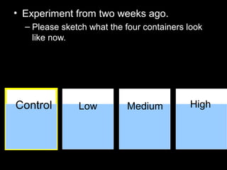 • Experiment from two weeks ago.
– Please sketch what the four containers look
like now.
Control Low Medium High
 