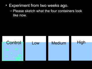 • Experiment from two weeks ago.
– Please sketch what the four containers look
like now.
Control Low Medium High
 