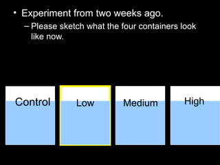 • Experiment from two weeks ago.
– Please sketch what the four containers look
like now.
Control Low Medium High
 