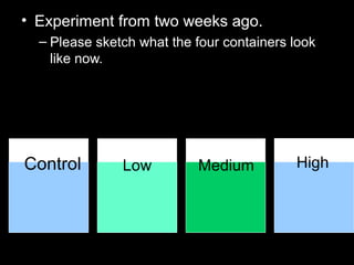 • Experiment from two weeks ago.
– Please sketch what the four containers look
like now.
Control Low Medium High
 