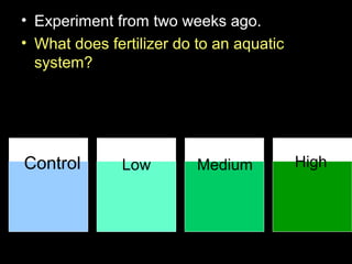 • Experiment from two weeks ago.
• What does fertilizer do to an aquatic
system?
Control Low Medium High
 