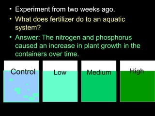 • Experiment from two weeks ago.
• What does fertilizer do to an aquatic
system?
• Answer: The nitrogen and phosphorus
caused an increase in plant growth in the
containers over time.
Control Low Medium High
 