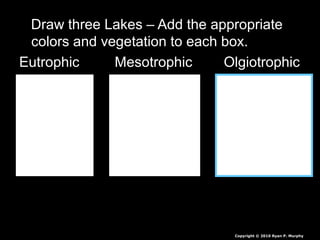 Draw three Lakes – Add the appropriate
colors and vegetation to each box.
Eutrophic Mesotrophic Olgiotrophic
Copyright © 2010 Ryan P. Murphy
 