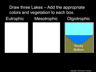 Draw three Lakes – Add the appropriate
colors and vegetation to each box.
Eutrophic Mesotrophic Olgiotrophic
Copyright © 2010 Ryan P. Murphy
Rocky
Bottom
 