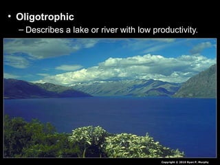 • Oligotrophic
– Describes a lake or river with low productivity.
Copyright © 2010 Ryan P. Murphy
 
