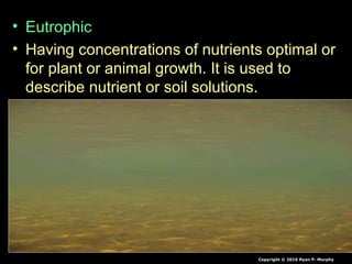 • Eutrophic
• Having concentrations of nutrients optimal or
for plant or animal growth. It is used to
describe nutrient or soil solutions.
Copyright © 2010 Ryan P. Murphy
 