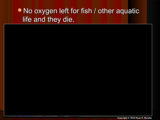 No oxygen left for fish / other aquaticNo oxygen left for fish / other aquatic
life and they die.life and they die.
Copyright © 2010 Ryan P. Murphy
 