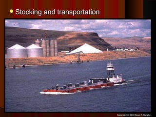 Stocking and transportationStocking and transportation
Copyright © 2010 Ryan P. Murphy
 