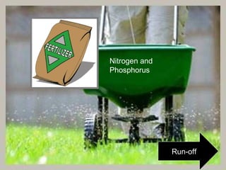 Nitrogen and
Phosphorus
Run-off
 