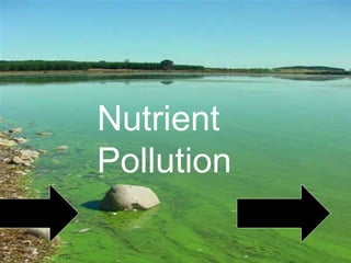 Nutrient
Pollution
 