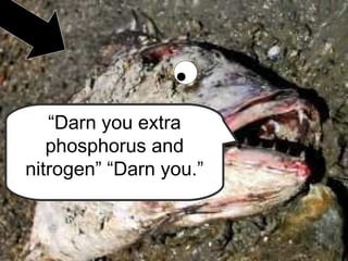“Darn you extra
phosphorus and
nitrogen” “Darn you.”
 