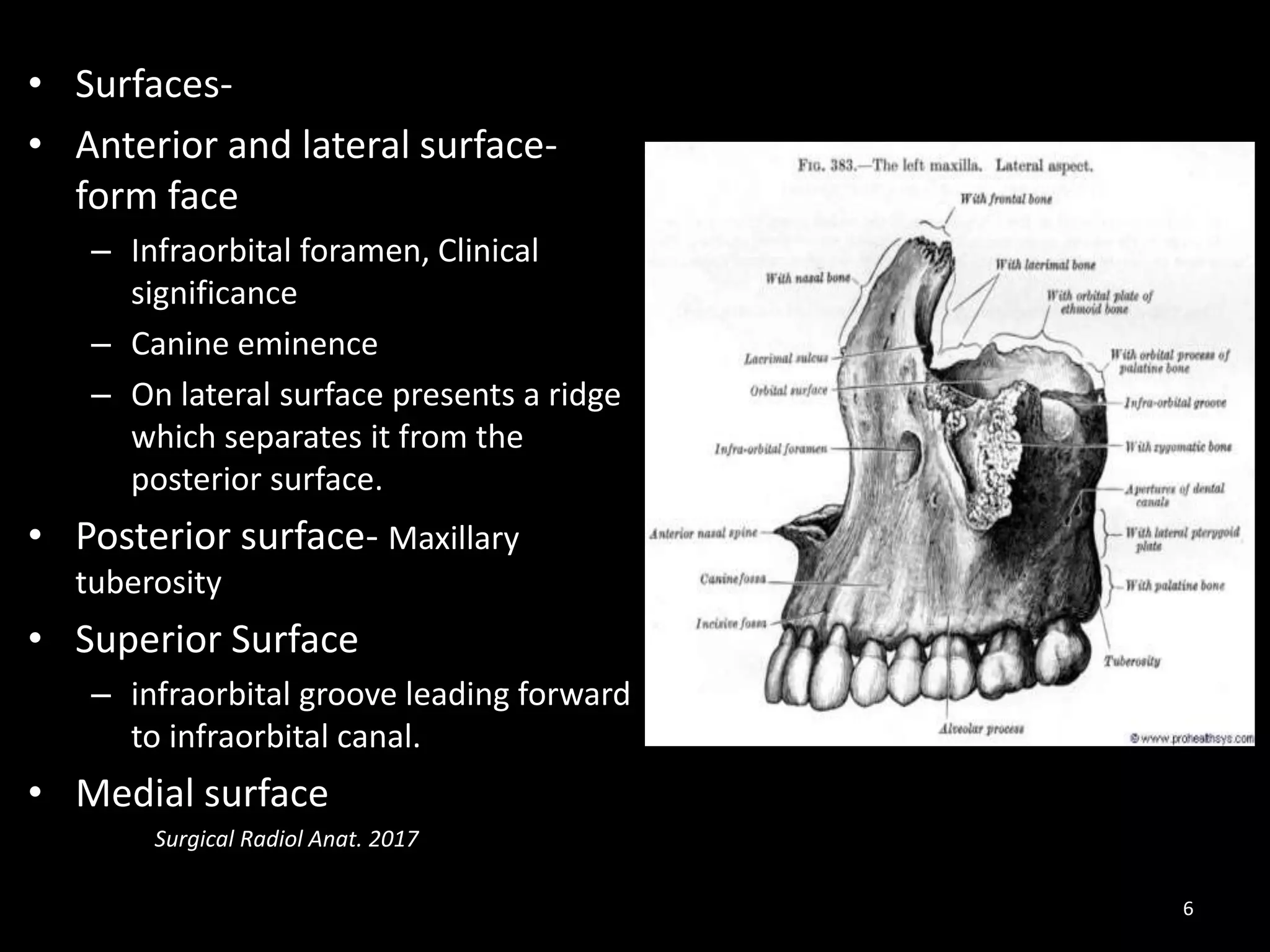 Osteological and radiological anatomy of skull and cervical (Part 2) | PPTX