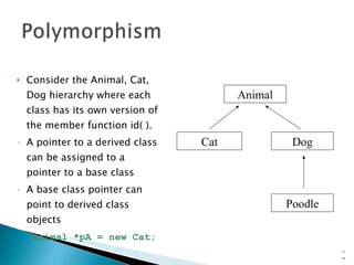 Consider the Animal, Cat, Dog hierarchy where each class has its own version of the member function id( ). A pointer to a derived class can be assigned to a pointer to a base class A base class pointer can point to derived class objects Animal *pA   =   new Cat; 15- Animal Cat Dog Poodle 