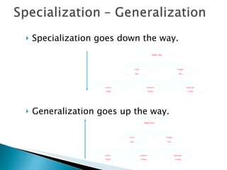 Specialization goes down the way. Generalization goes up the way. Shape class Triangle  class Circle class Right-angle Triangle Equilateral Triangle Isosceles Triangle Shape class Triangle  class Circle class Right-angle Triangle Equilateral Triangle Isosceles Triangle 